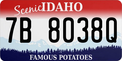 ID license plate 7B8038Q