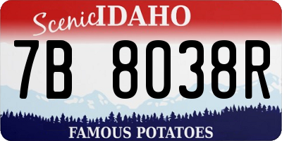 ID license plate 7B8038R
