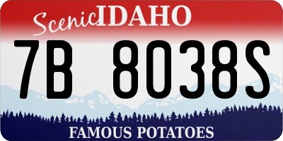 ID license plate 7B8038S