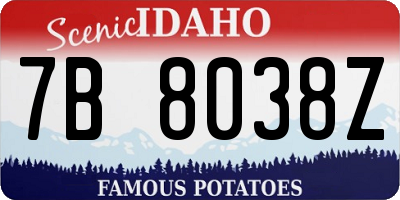 ID license plate 7B8038Z
