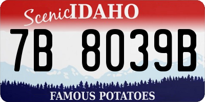 ID license plate 7B8039B