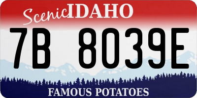 ID license plate 7B8039E