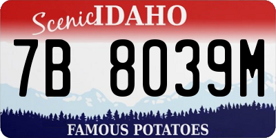 ID license plate 7B8039M