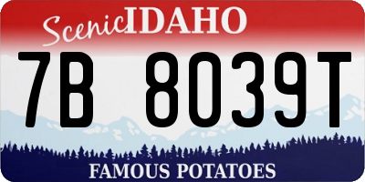 ID license plate 7B8039T