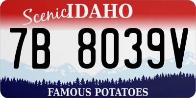 ID license plate 7B8039V