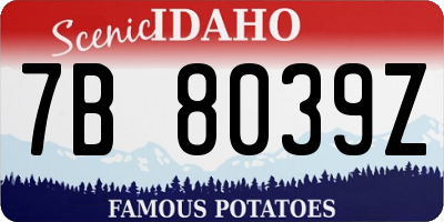 ID license plate 7B8039Z