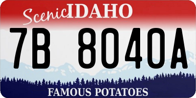 ID license plate 7B8040A