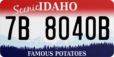ID license plate 7B8040B