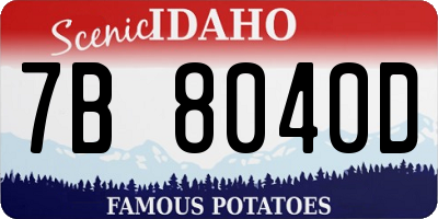 ID license plate 7B8040D