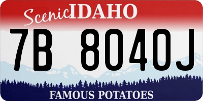 ID license plate 7B8040J