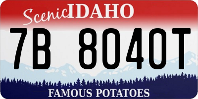 ID license plate 7B8040T