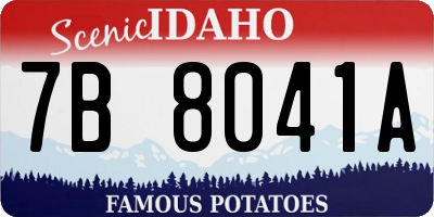 ID license plate 7B8041A
