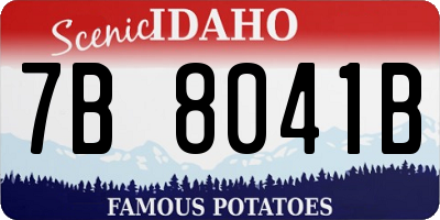 ID license plate 7B8041B