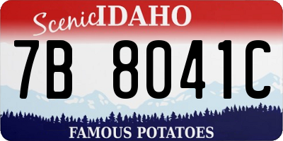 ID license plate 7B8041C