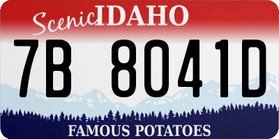 ID license plate 7B8041D