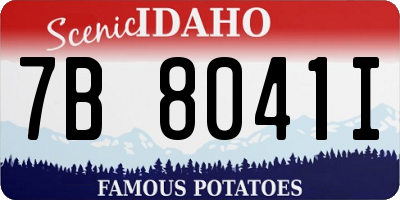 ID license plate 7B8041I