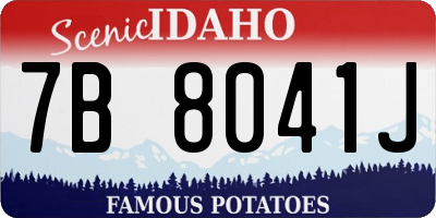 ID license plate 7B8041J