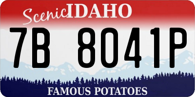 ID license plate 7B8041P