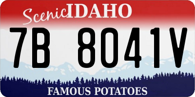 ID license plate 7B8041V