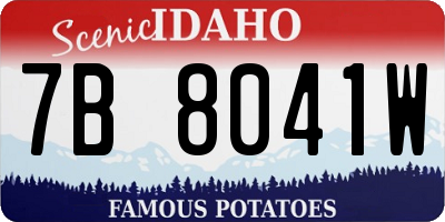 ID license plate 7B8041W