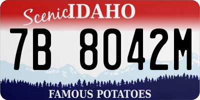 ID license plate 7B8042M