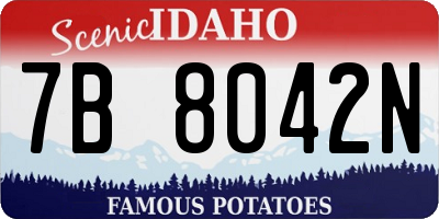 ID license plate 7B8042N