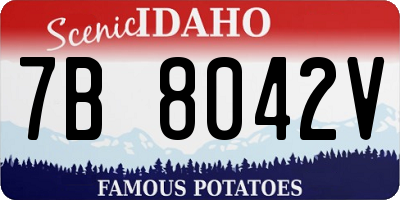 ID license plate 7B8042V
