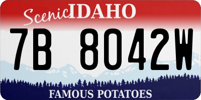 ID license plate 7B8042W
