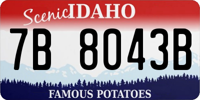 ID license plate 7B8043B