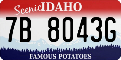 ID license plate 7B8043G