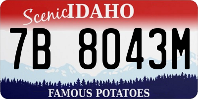 ID license plate 7B8043M