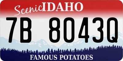 ID license plate 7B8043Q
