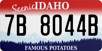 ID license plate 7B8044B