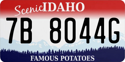ID license plate 7B8044G