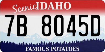 ID license plate 7B8045D