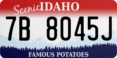 ID license plate 7B8045J