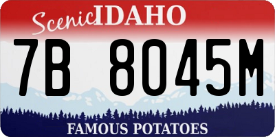 ID license plate 7B8045M