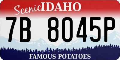ID license plate 7B8045P