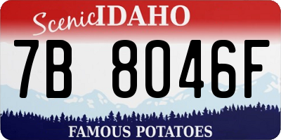 ID license plate 7B8046F