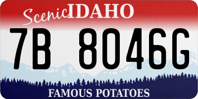 ID license plate 7B8046G