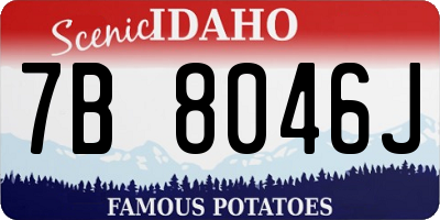 ID license plate 7B8046J