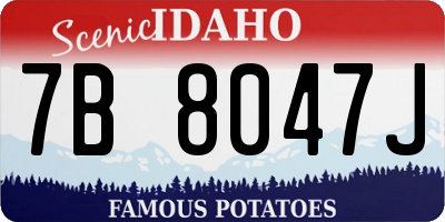 ID license plate 7B8047J
