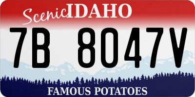 ID license plate 7B8047V