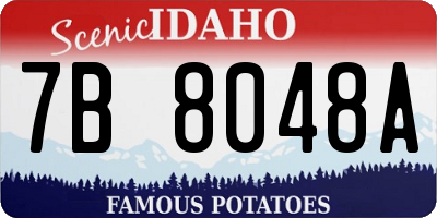 ID license plate 7B8048A