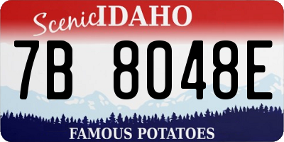 ID license plate 7B8048E