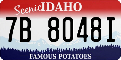 ID license plate 7B8048I