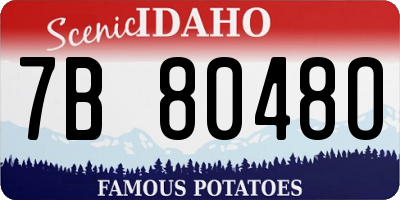 ID license plate 7B8048O