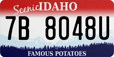 ID license plate 7B8048U