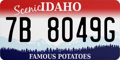 ID license plate 7B8049G