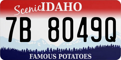 ID license plate 7B8049Q